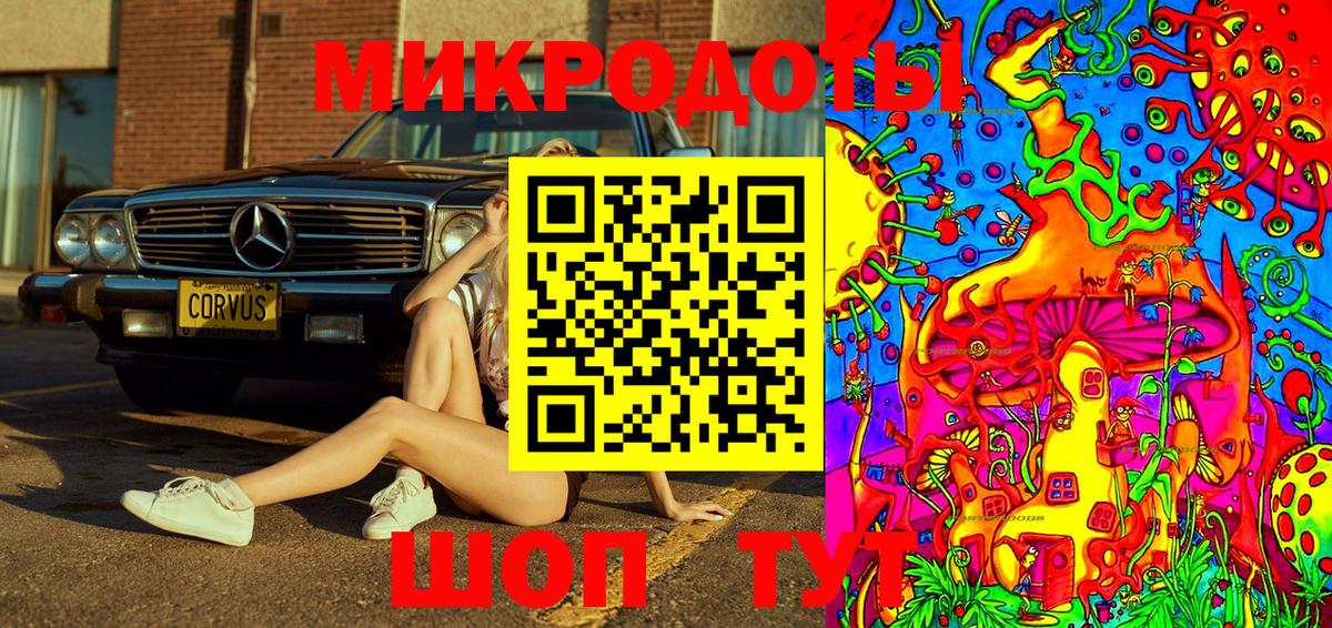 Псилоцибиновые грибы Psilocybine cubensis Елабуга
