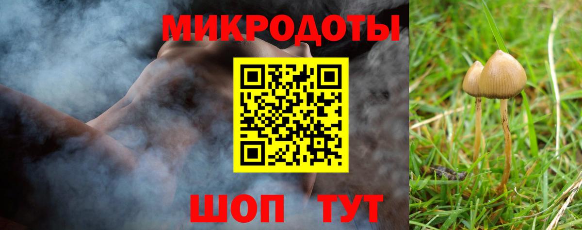 что такое наркотик  Вход с VPN  Елабуга  Галлюциногенные грибы Psilocybine cubensis 
